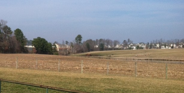 Houses sprouting like weeds