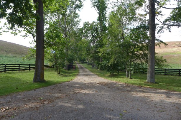 Entrance to someone's private plantation