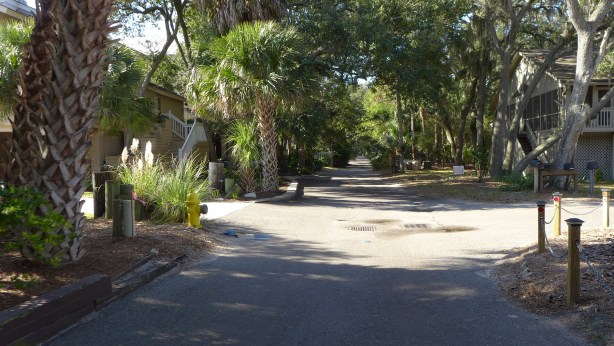 Houses on the left are oceanfront