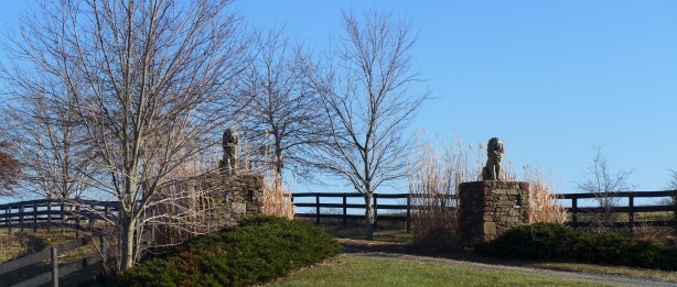 Charlottesville area 024