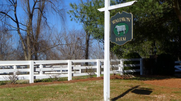 Charlottesville area 050