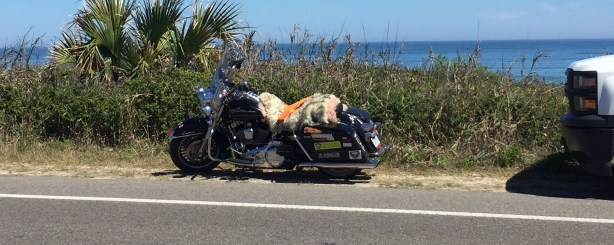 FloridaMarch 2015J 186