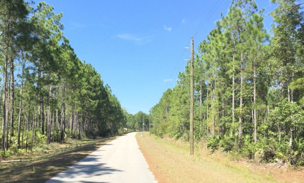 FloridaMarch 2015J 220